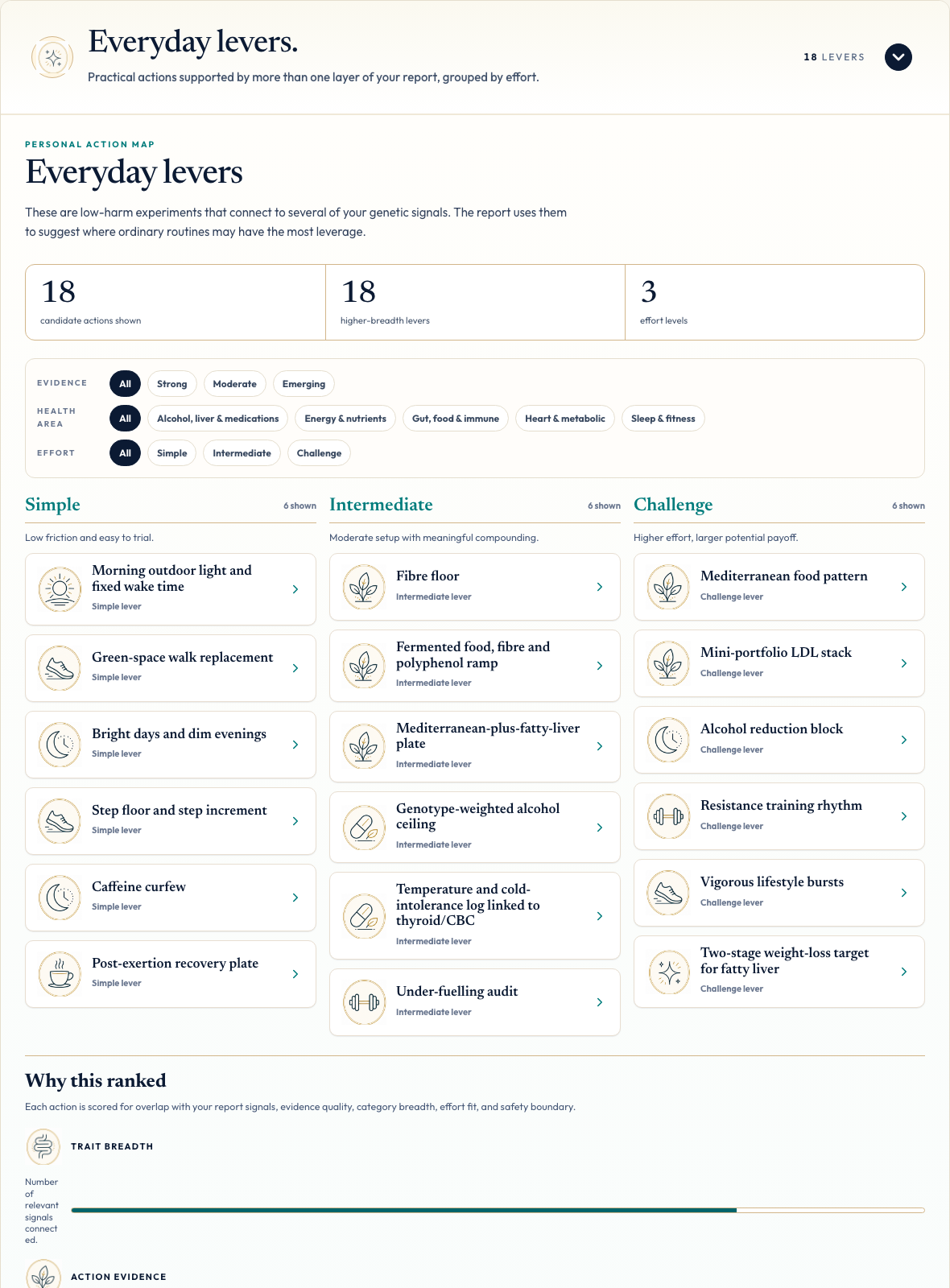Everyday levers section from a Spoke DNA Genome Action Plan report
